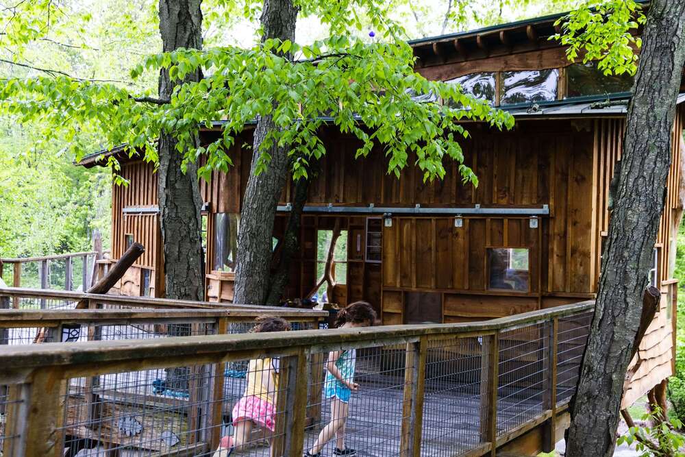 Outdoor treehouse at the Discovery Museum in Acton, MA.